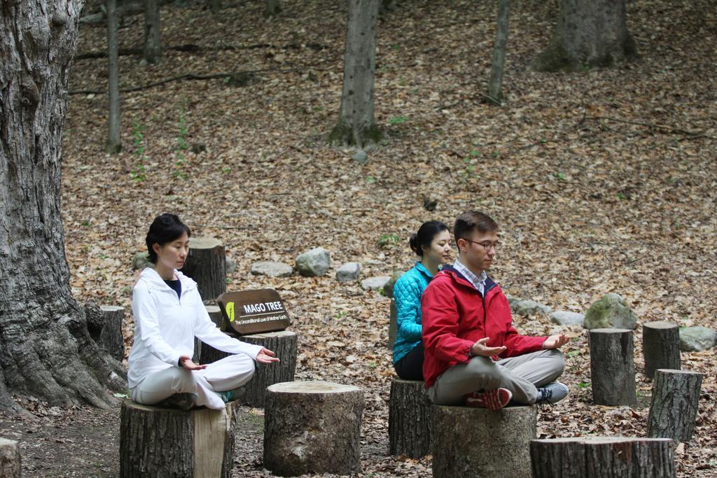 Honors Haven Retreat & Conference 호텔 엘렌빌 외부 사진
